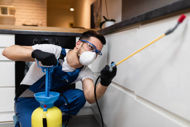 Best Cockroach Control Services  in Watford City, ND