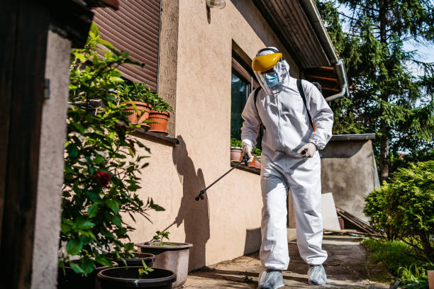 Professional Pest Control in Watford City, ND