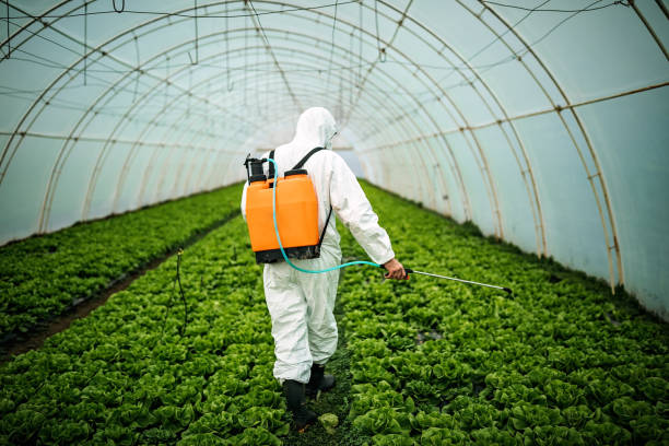 Best Pest Removal Services  in Watford City, ND
