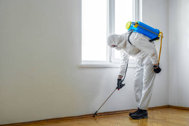 Best Rat Extermination Near Me  in Watford City, ND