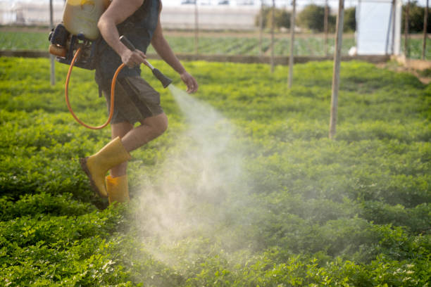 Best Exterminator Services  in Watford City, ND