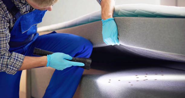 Best Affordable Pest Control Services  in Watford City, ND