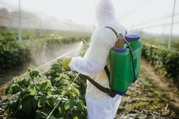 Best Best Pest Control Companies  in Watford City, ND